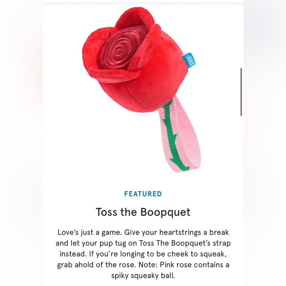 Bark box toss the bouquet toy